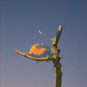 爰上碰23在线观看免费视频
